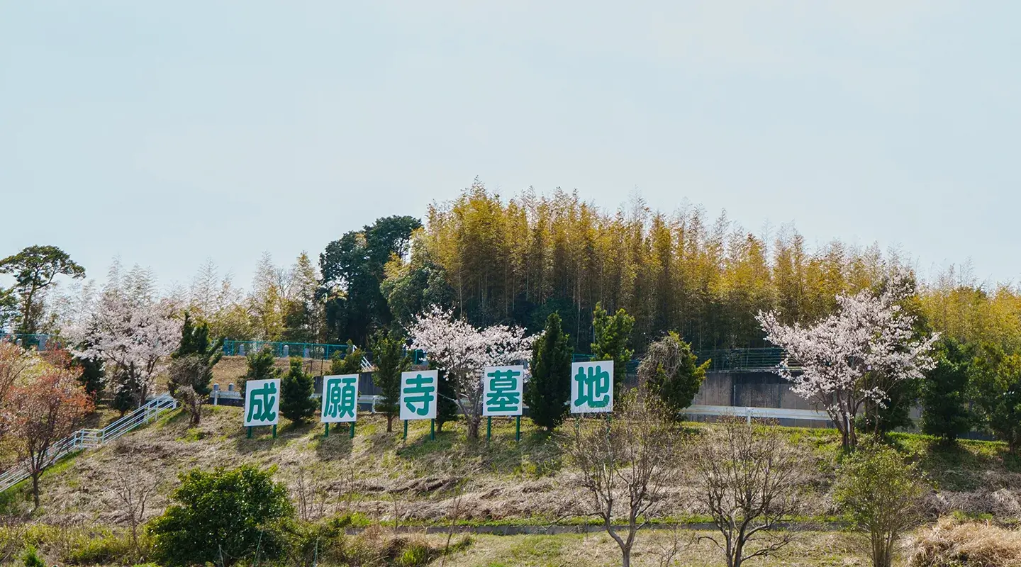 成願寺墓地のメインビジュアル